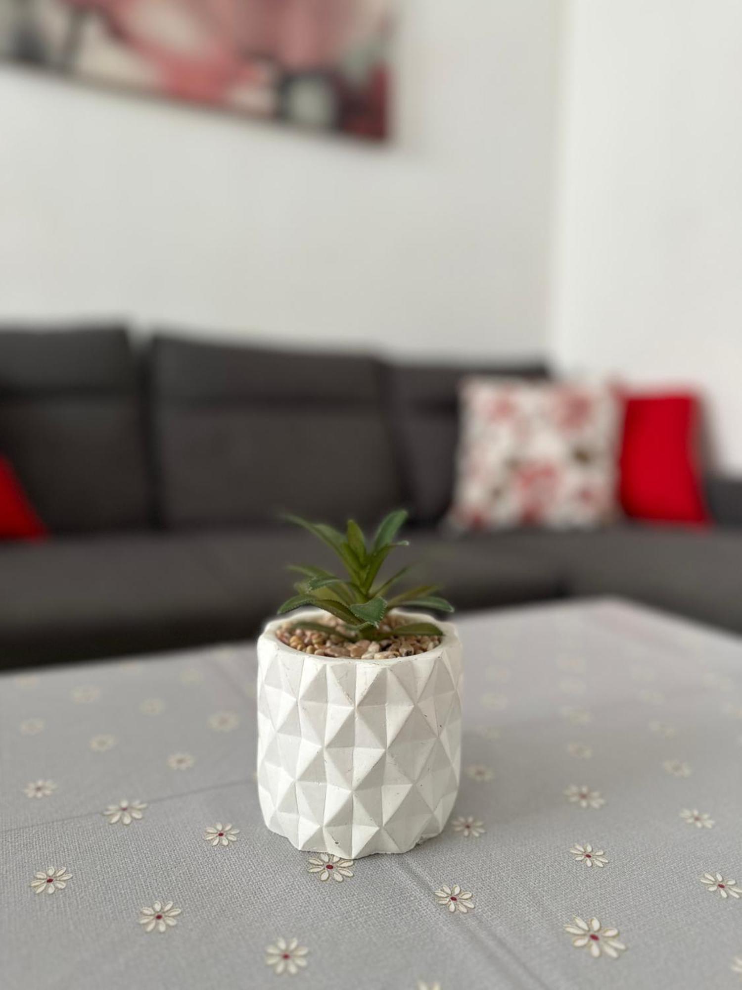 Modern And Bright 5 Bedroom Apartment Del Prado Gandía Exteriör bild